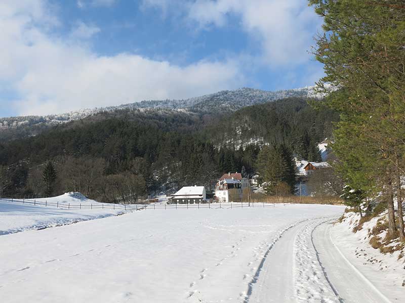 Hohe Mandling